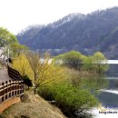 나무테크 이미지