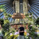 식물원 강아지 | 제주 여미지식물원 포켓몬 팝업, 강아지 동반 후기