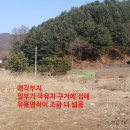 명당마트 이미지