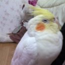 (주)연지 이미지