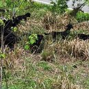 약산농장 이미지