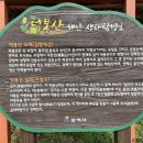 맹방해수욕장산림욕장 네이버블로그