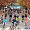 내곡1리마을회관 뉴시스