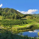 베뉴지CC 이미지