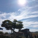 달리도 민박 이미지