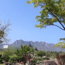 최가짬뽕 | 속초 한화리조트 맛집 최가 넉넉한 아침식사!