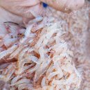 신성수산 이미지