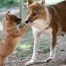 유동물원 이미지