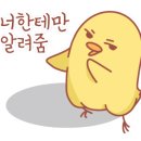 레인보우앵무새카페