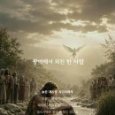 새 한 마리 산책길에 내려앉아/에밀리 디킨슨 이미지