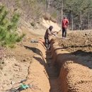 성보태양광 이미지