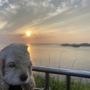 서쪽노을 이미지