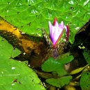 정남진 민박 이미지