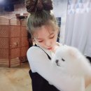 몽스타 이미지