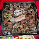 구산성지 | 마산 구산 굴구이의 계절 : 수밭골 장작 굴구이 내돈내산 찐 후기