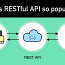 [컴퓨터과학과/참고] Rest API, Restful API 등 이미지