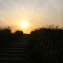 배곧생명공원 이미지