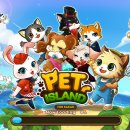 펫아일랜드 이미지