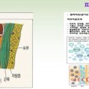토탈의료기 이미지