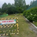 인재개발원 배구장 이미지