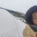 중부농자재