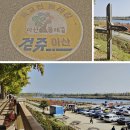 곡교천 은행나무길 이미지