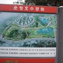 216-운정3-216 Daum카페