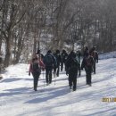 2011년 웰빙산악회의 태백산 눈(snow) 산행 이미지