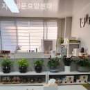 행복마을요양원 화장실 | 일산요양원 지니방문요양센터 비용 절약 꿀팁