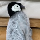 황제 세탁 이미지