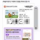 서율아구찜 | [임신 16주 ~ 20주] 2차 기형아검사, 무서운 초음파 사진, 환도선다, 제주도 여행