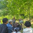 산약초에 대한 이해 | 평창 임업대학 견학 후기(4기)
