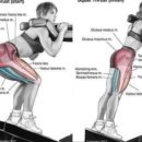 로드스타 휘트니스 이미지