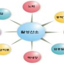 운동공장 Daum카페