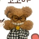 코코아간식가게