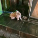 부림건어물 이미지