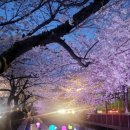 여좌천거리 이미지