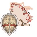 두침한의원 이미지