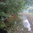 소양고요 | 고요한 호수, 다시 찾은 '소양 스테이 펜션' '컴포터블동' 후기 (전주 근교 신상 펜션)