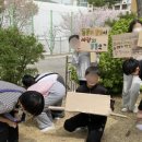 화창초등학교 이미지