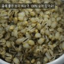검정찰보리 이미지
