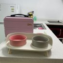 평생 사랑해 줄 개 애견펜션 이미지