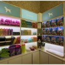 상상도그 이미지