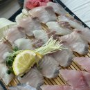 난조아 | 여수 엑스포역 근처 맛집 짱조아마차 가성비 선어회 솔직후기