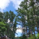 인제캠핑타운 이미지