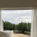 선흘 별채 | 제주도 에어비앤비 추천, 제주 선흘별채