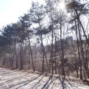 달천펜션 이미지