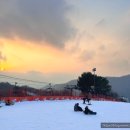 비발디렌통령 이미지