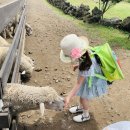 은혜목장 이미지