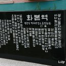 꽃물든자리